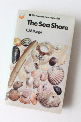 The Sea Shore by C.M. Yonge ISBN: