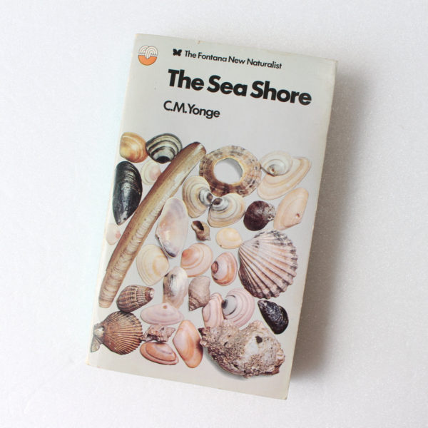 The Sea Shore by C.M. Yonge ISBN: