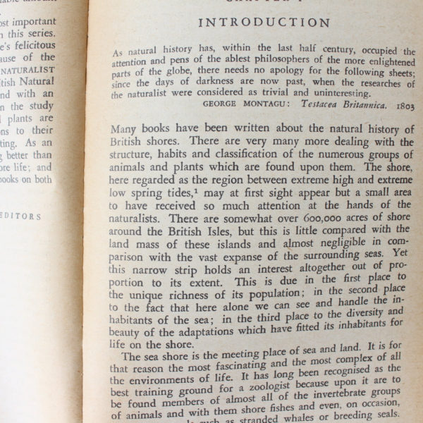 The Sea Shore by C.M. Yonge ISBN: - Image 3