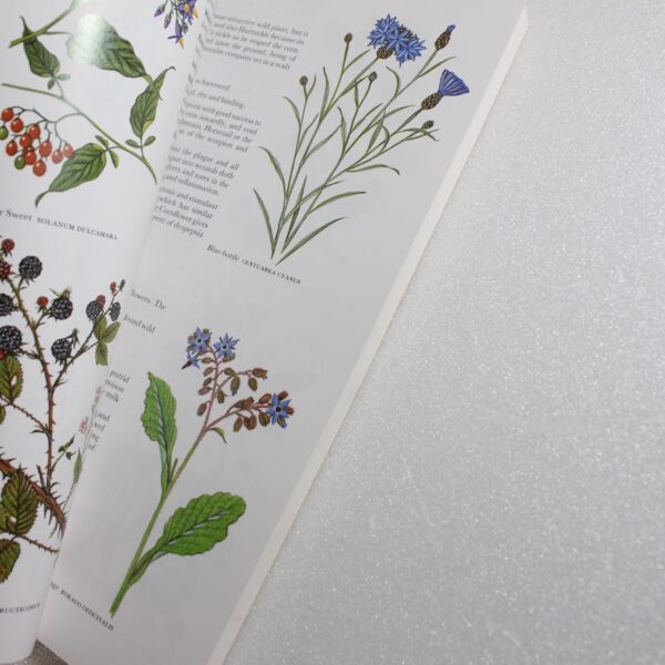 Culpepper's Colour Herbal by?David Potterton ISBN: 9780572017927 - Image 2