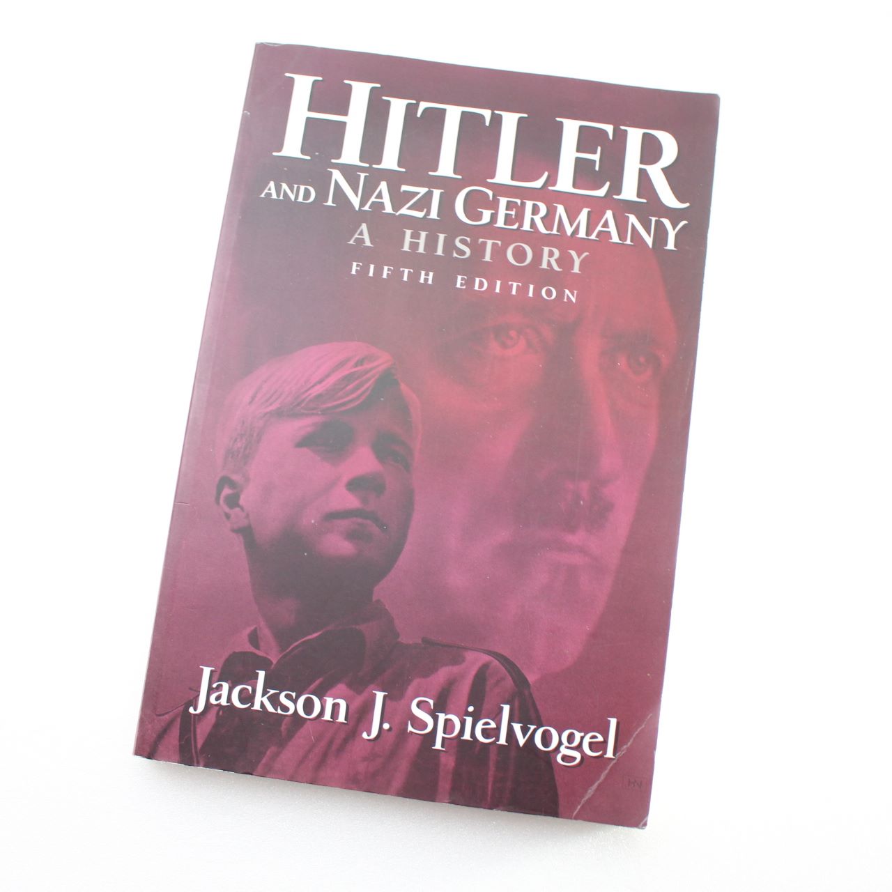 Hitler and Nazi Germany: A History by Jackson Spielvogel ISBN: 9780131898776