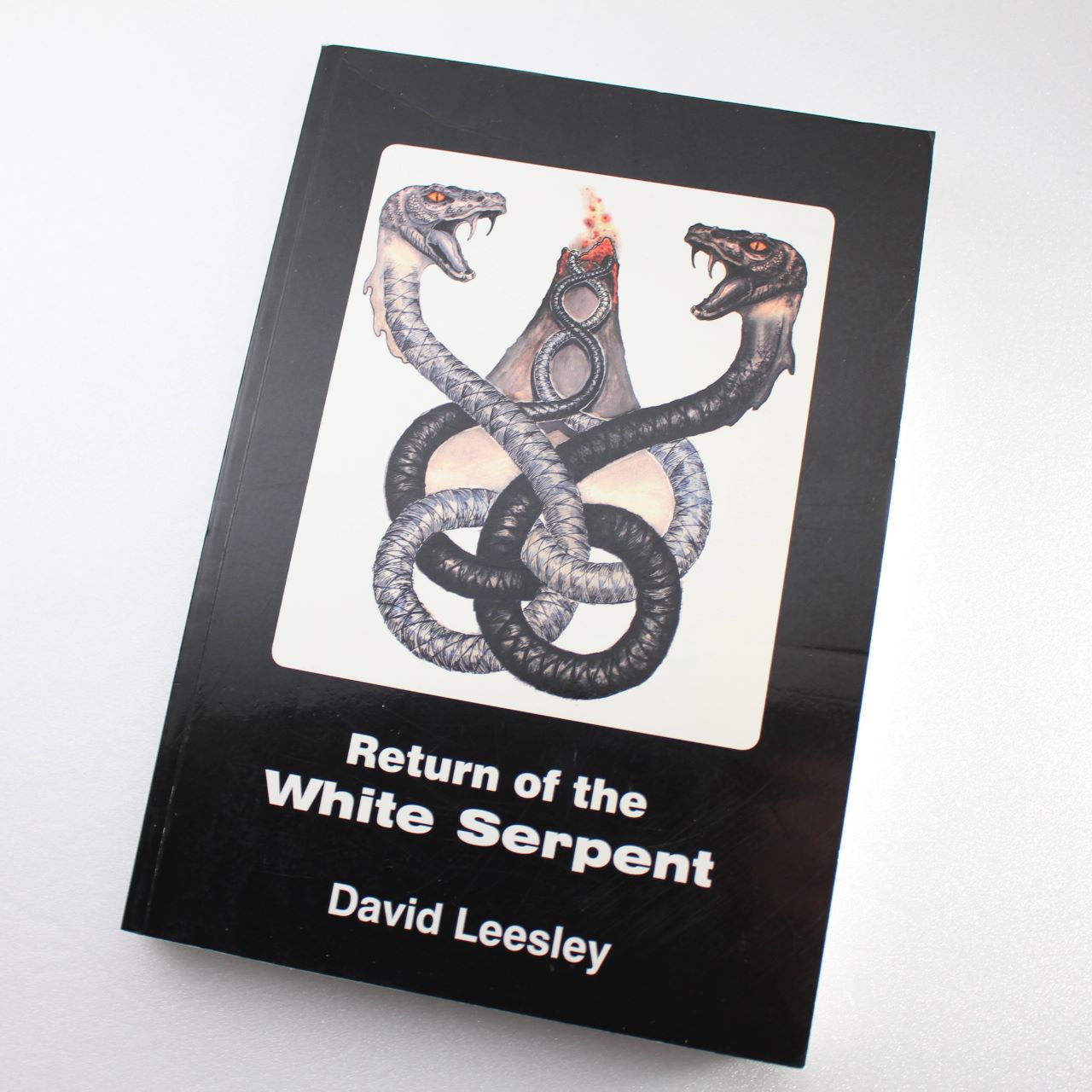 Return of the White Serpent by David Leesley ISBN: 9780953331635