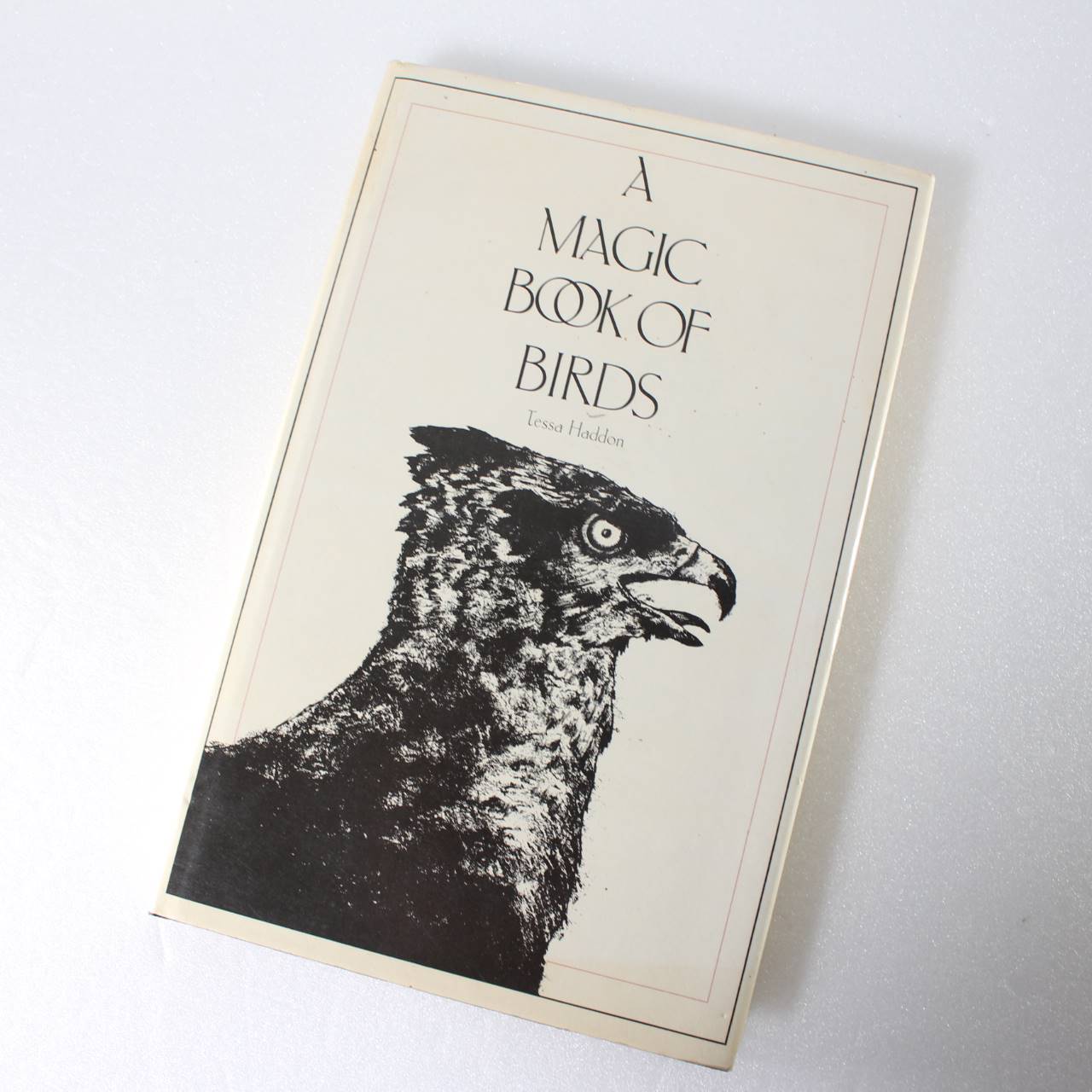 A magic book of birds by Tessa Haddon ISBN: 9780903937207