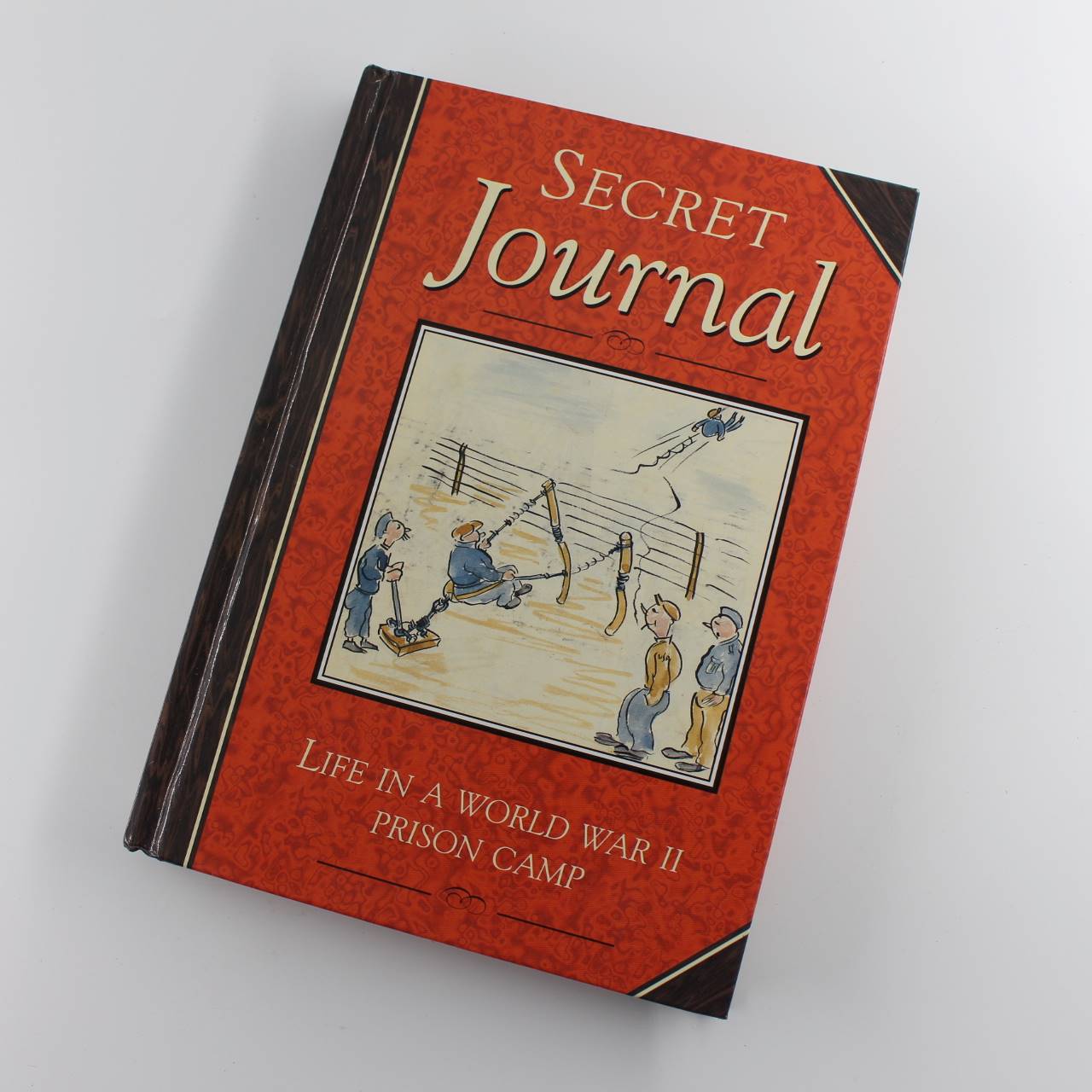 Prisoner of War: My Secret Journal book by Squadron Leader B. Arct ISBN: