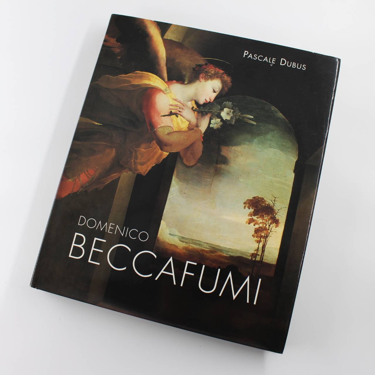 Domenico Beccafumi book by Pascale Dubus ISBN: 9782845760028