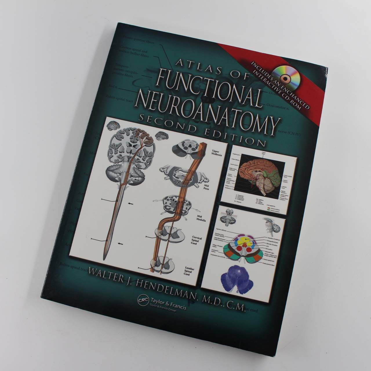 Atlas of Functional Neuroanatomy Second Edition book by Walter Hendelman M.D  ISBN: 9780849330841