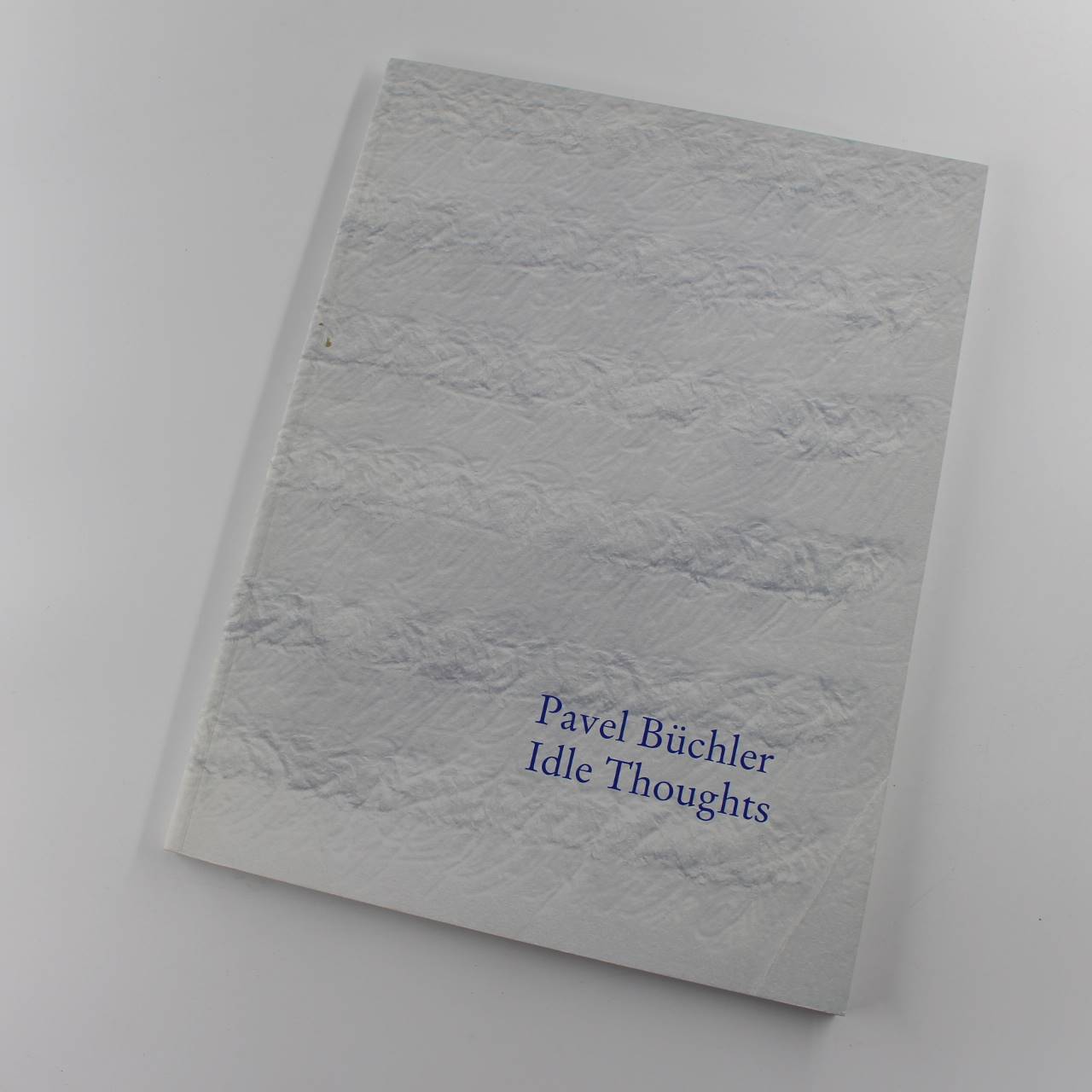 Pavel Buchler: Idle Thoughts book by Adrian Searle Maria Balshaw Diaries  ISBN: 9780903261715