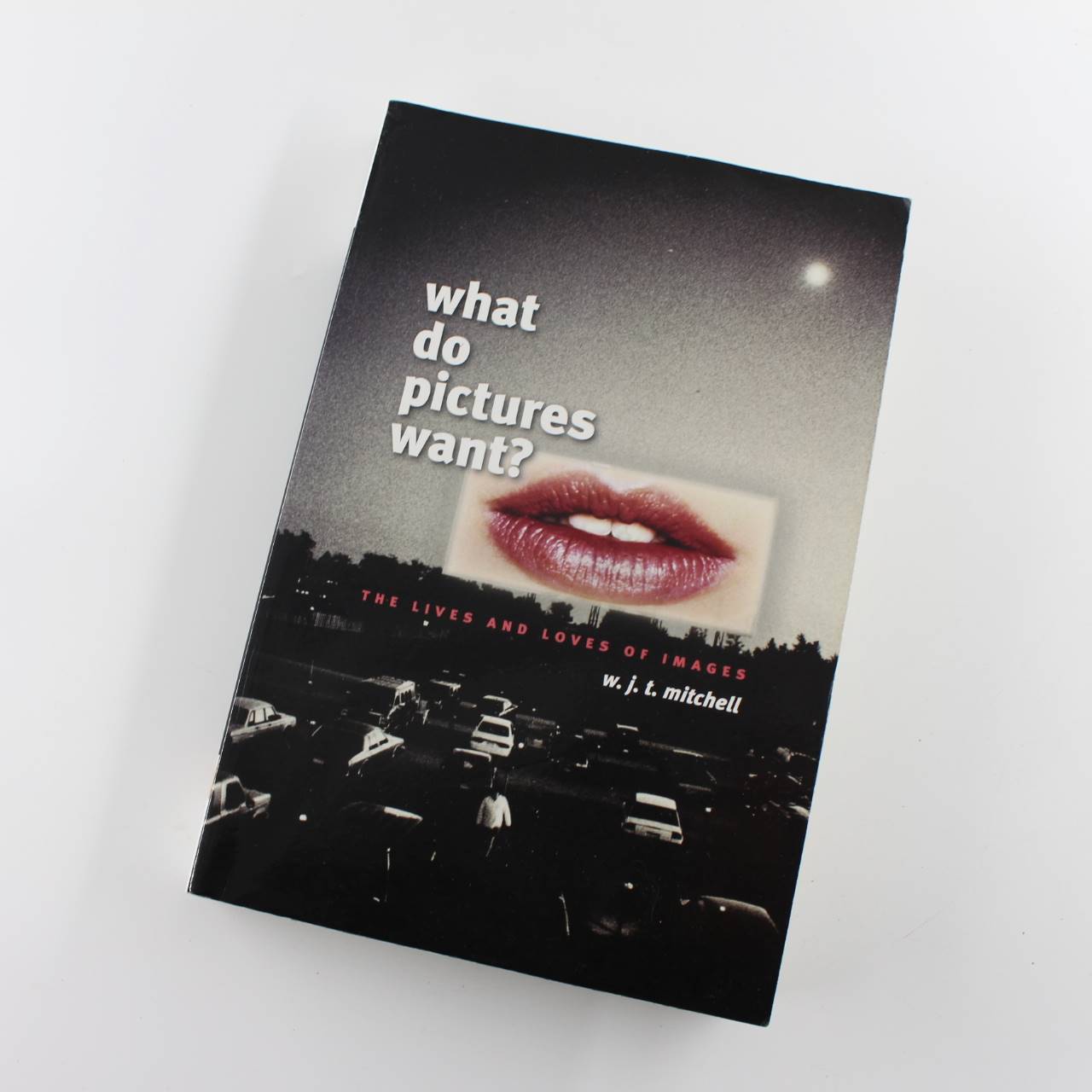 What Do Pictures Want?: The Lives and Loves of Images book by W J T Mitchell  ISBN: 9780226532486