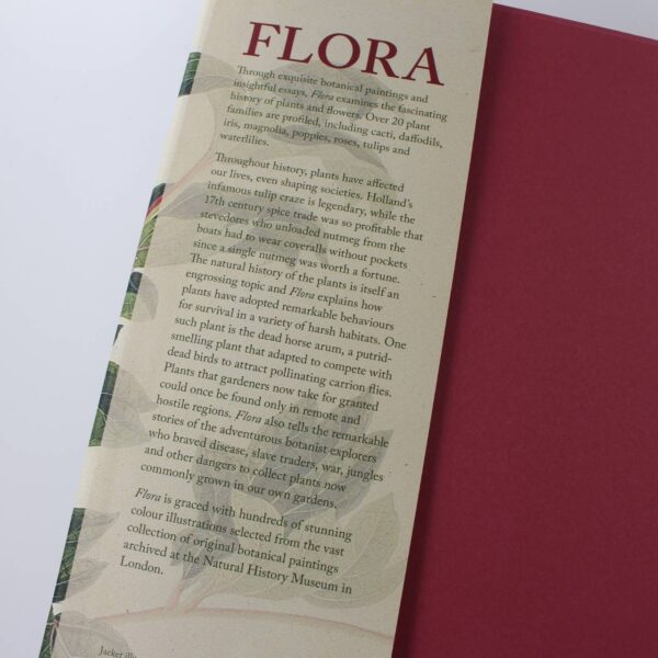 Flora: An Artistic Voyage Through the World of Plants book by Sandra Knapp   ISBN: 9780565093341 - Image 2