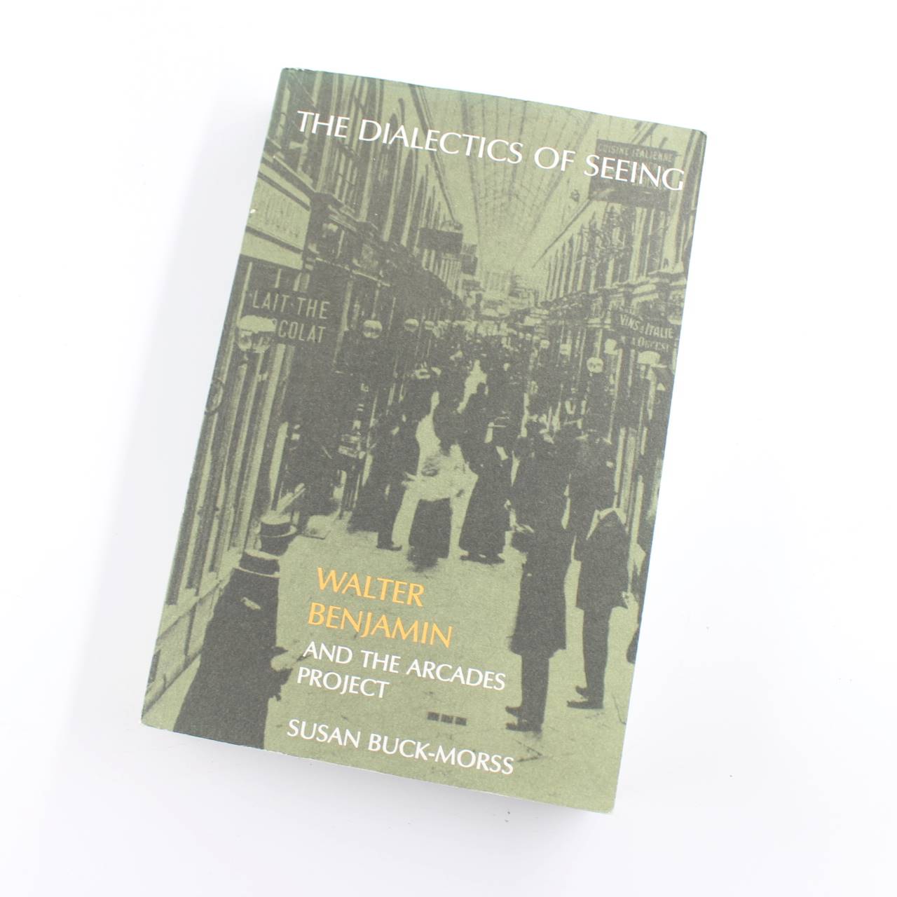 The Dialectics of Seeing: Walter Benjamin and the Arcades Project  book by Susan Buck Morss Thomas Mccarthy  ISBN: 9780262521642