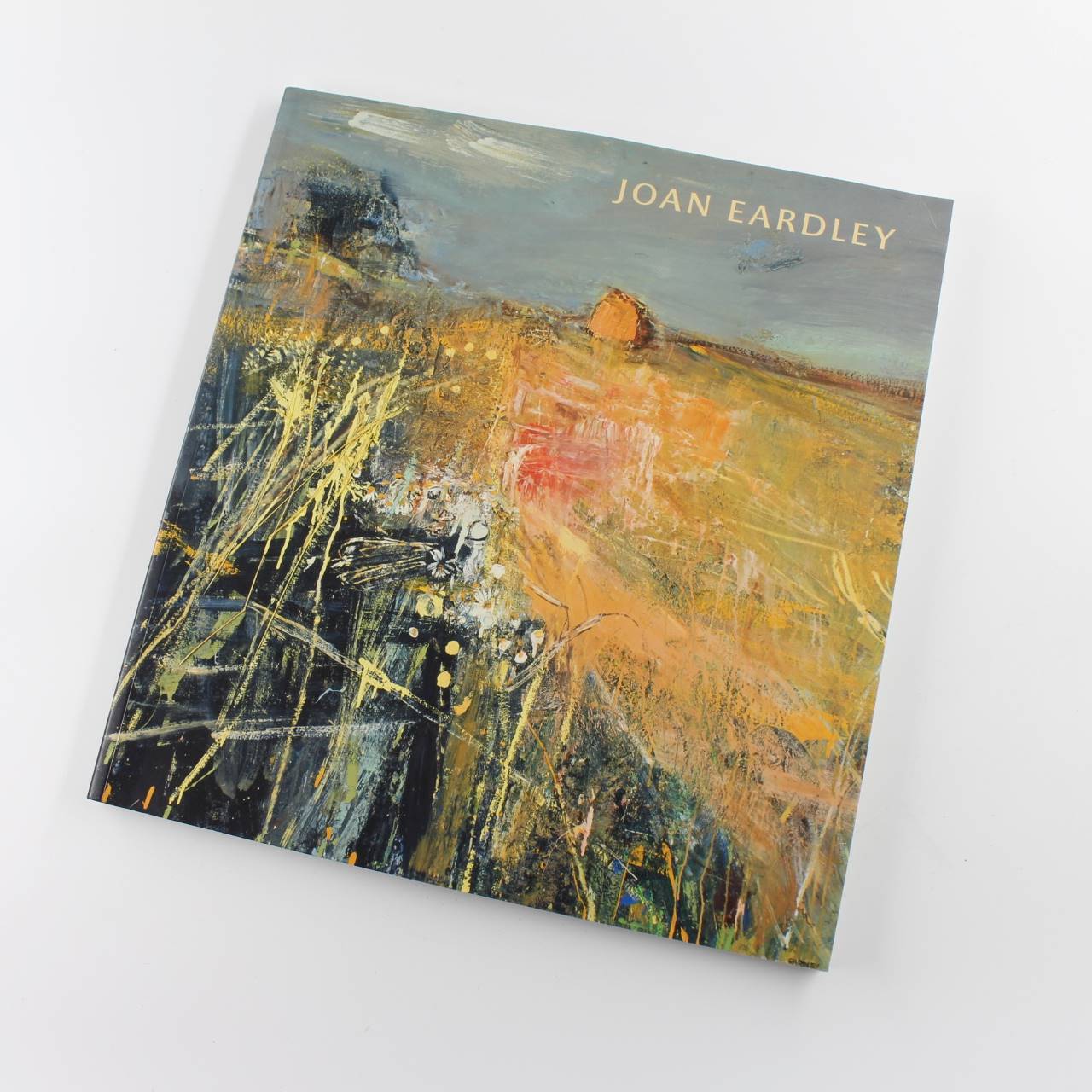 Joan Eardley Social Realism book by Fiona Pearson Sara Stevenson  Scottish Artists ISBN: 9781906270766