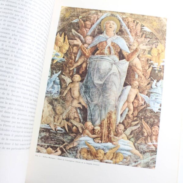 Mantegna La Chapelle Ovetari Dans L Eglise des Eremitiques Collection Sivana book by Giuseppe Fiocco  ISBN: - Image 3