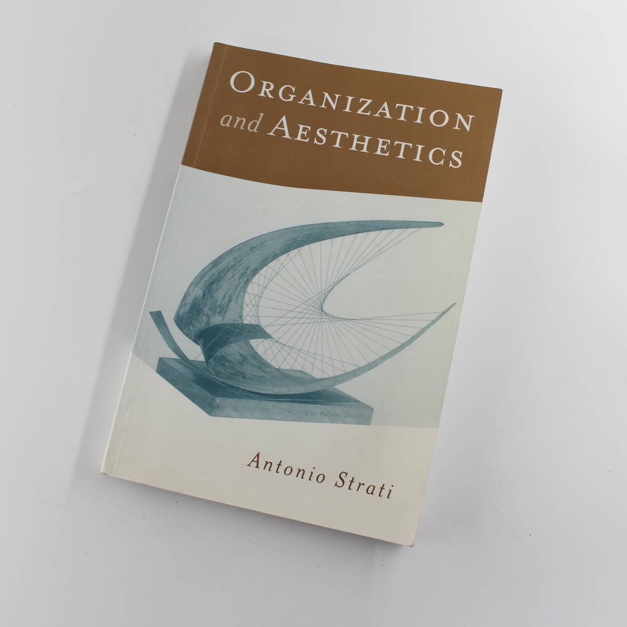 Organization and Aesthetics book by Antonio Strati  Socially Constructs ISBN: 9780761952398