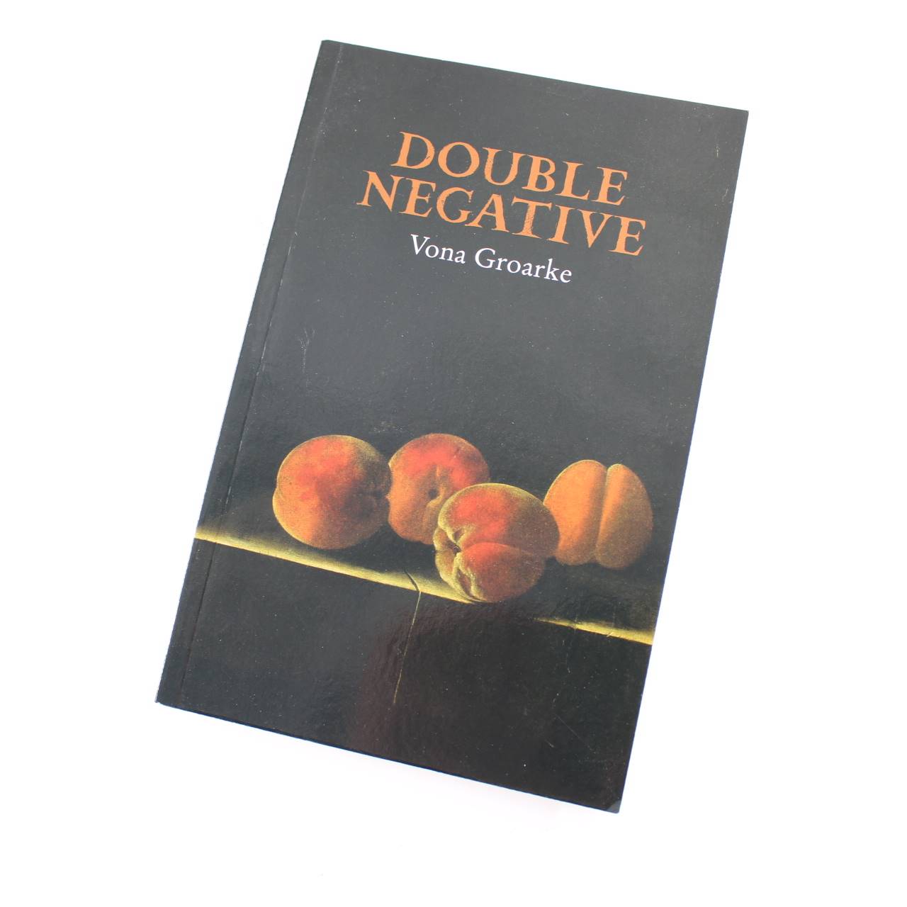 Double Negative book by Vona Groarke  Poetry ISBN: 9781911337607