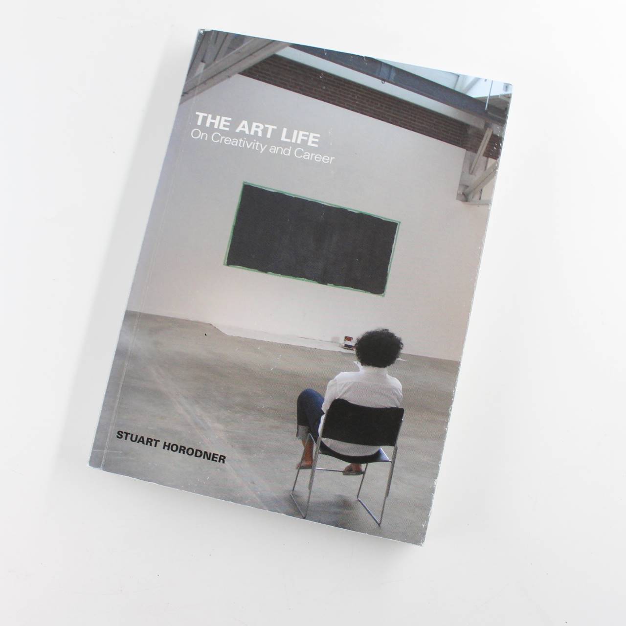 The Art Life: On Creativity and Career book by Stuart Horodner Stacie Lindner Philosophical And Practical Issues ISBN: 9781450790659