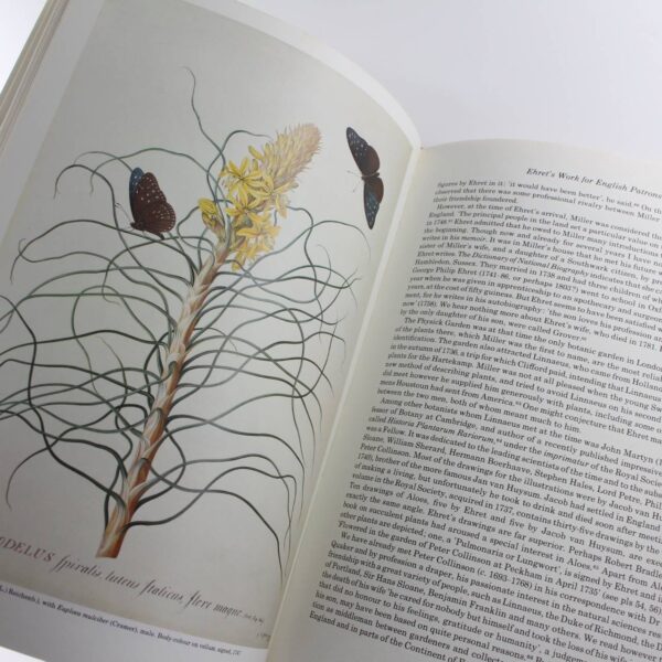 Ehret: Flower Painter Extraordinary: An illustrated biography book by Gerta Calmann  ISBN: 9780714817767 - Image 5