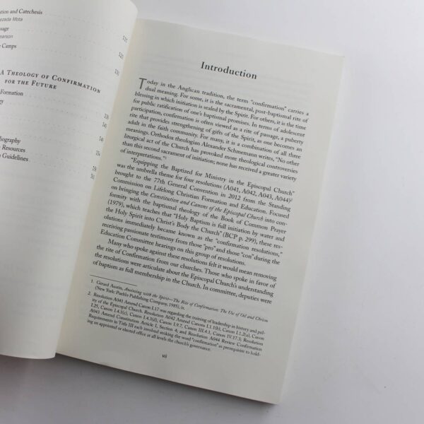 Signed Sealed Delivered: Theologies of Confirmation for the 21st Century book by Sharon Ely Pearson   ISBN: 9780819228918 - Image 3