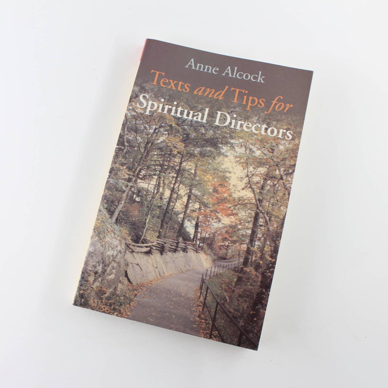 Texts and Tips for Spiritual Directors book by Anne Alcock Christian Church  ISBN: 9781856075503