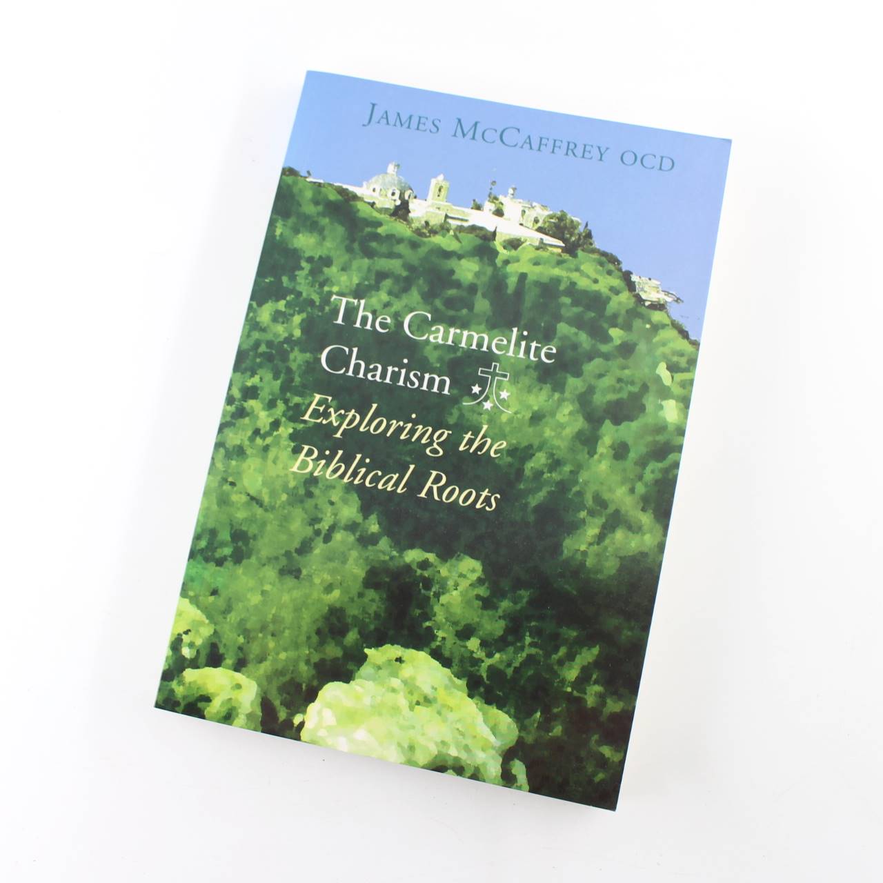 The Carmelite Charism: Exploring the Biblical Roots book by James McCaffrey Christian Church ISBN: 9781853907371