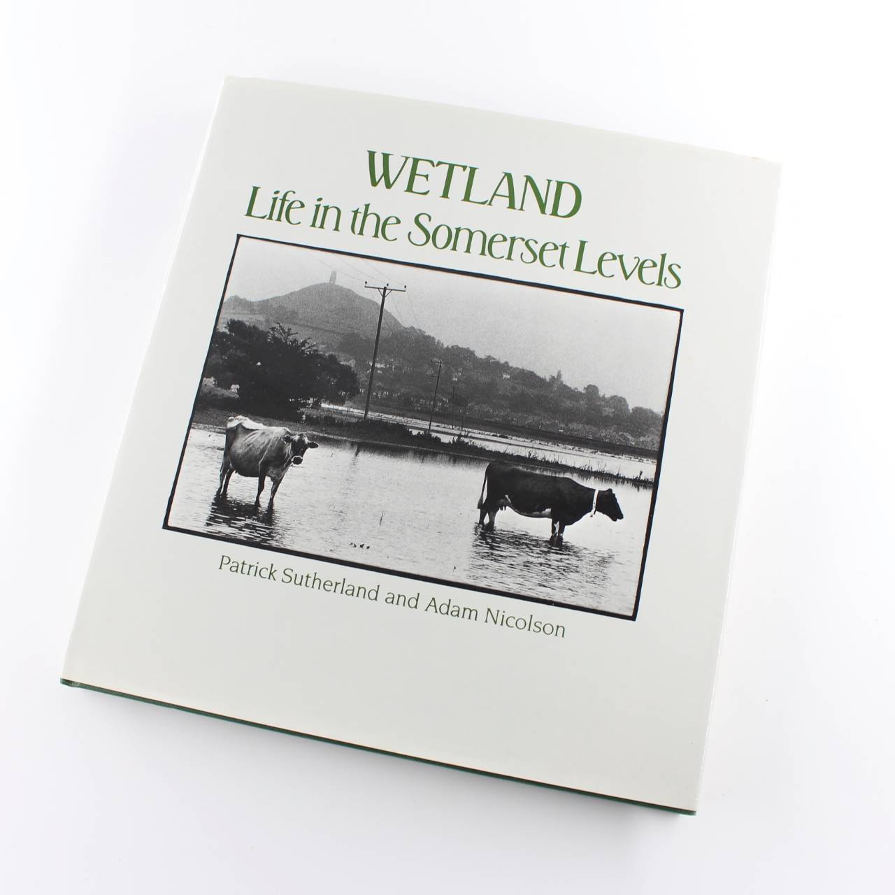 Wetland: Life in the Somerset Levels book by Patrick Sutherland Cultural Geography ISBN: 9780718126032