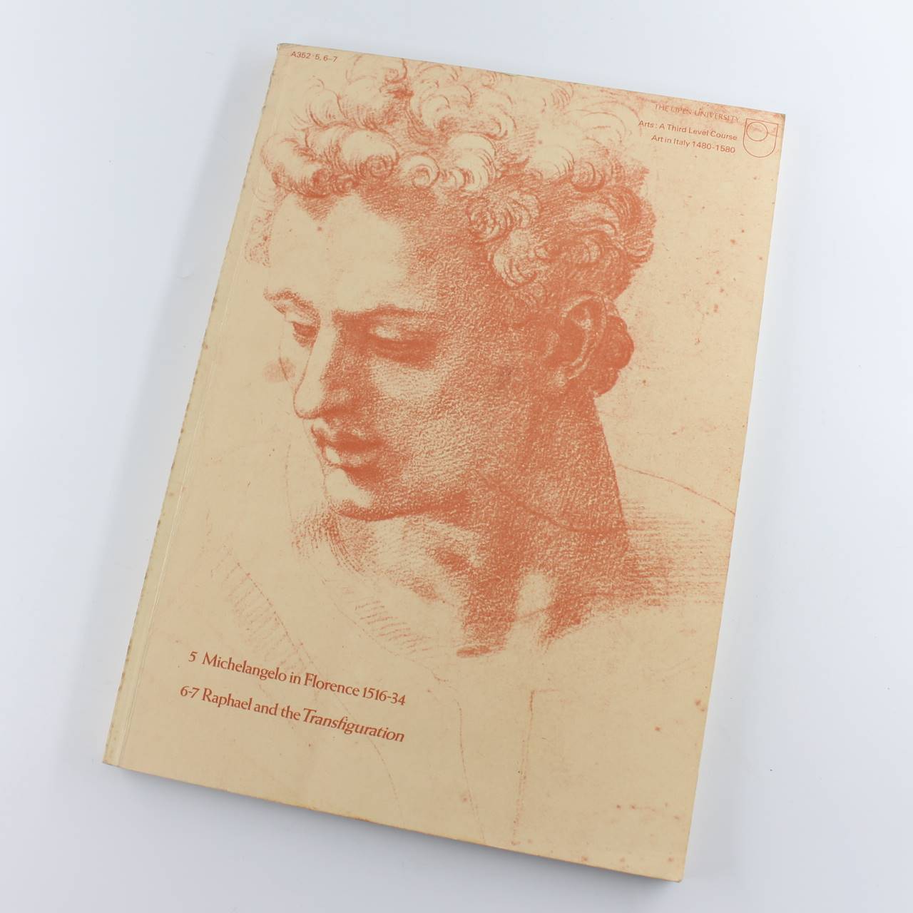 Michelangelo in Florence 1516-34 Raphael and the Transfiguration Arts a third level course art in Italy 1480-1580 book by Catherine E. King  ISBN: 9780335075034