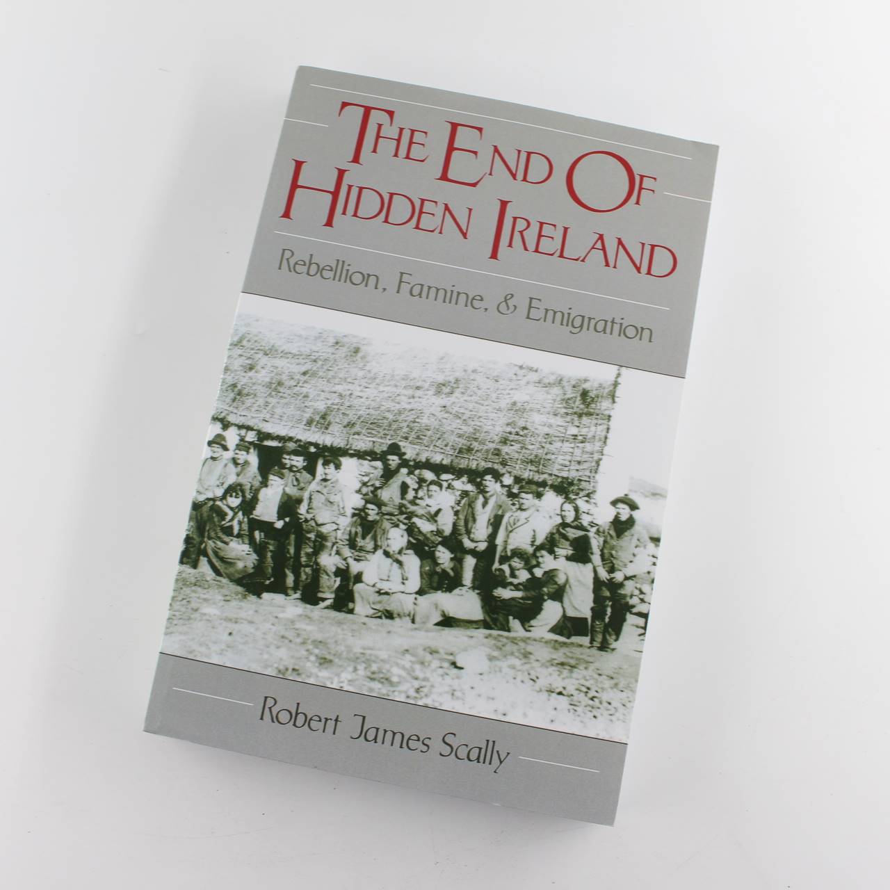 The End of Hidden Ireland: Rebellion Famine and Emigration book by Robert Scally  ISBN: 9780195106596