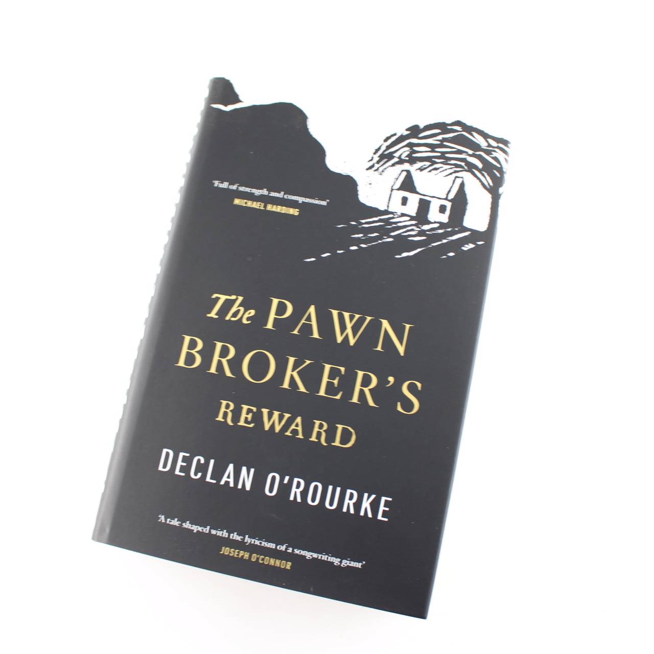 The Pawnbroker’s Reward book by Declan O’Rourke Irish History Famine  ISBN: 9780717186327