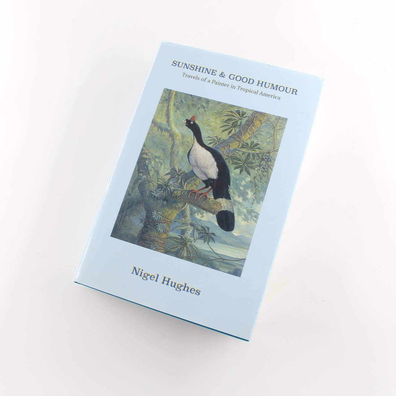 Sunshine and Good Humour: Travels of a Painter in Tropical America book by Nigel Hughes   ISBN: 9781526207128