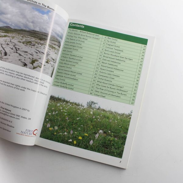 The First Nature guide to wild orchids in the Burren book by Pat O'Reilly Sue Parker   ISBN: 9780954955489 - Image 2