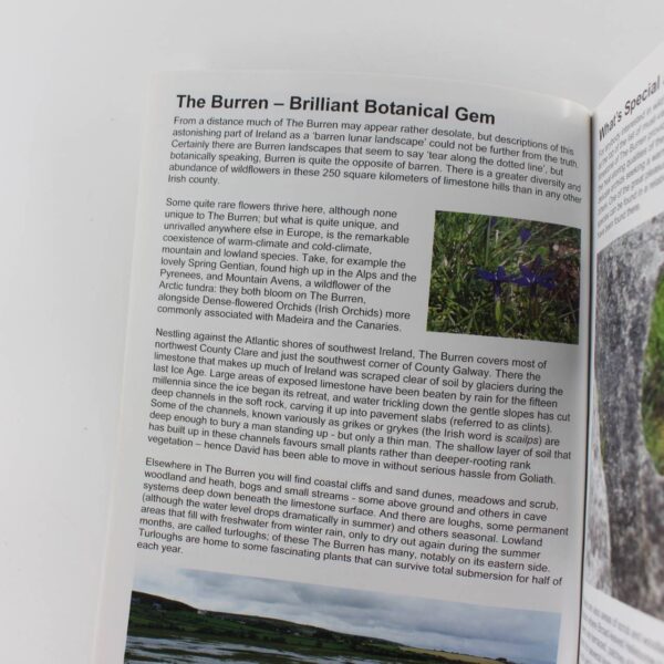 The First Nature guide to wild orchids in the Burren book by Pat O'Reilly Sue Parker   ISBN: 9780954955489 - Image 3