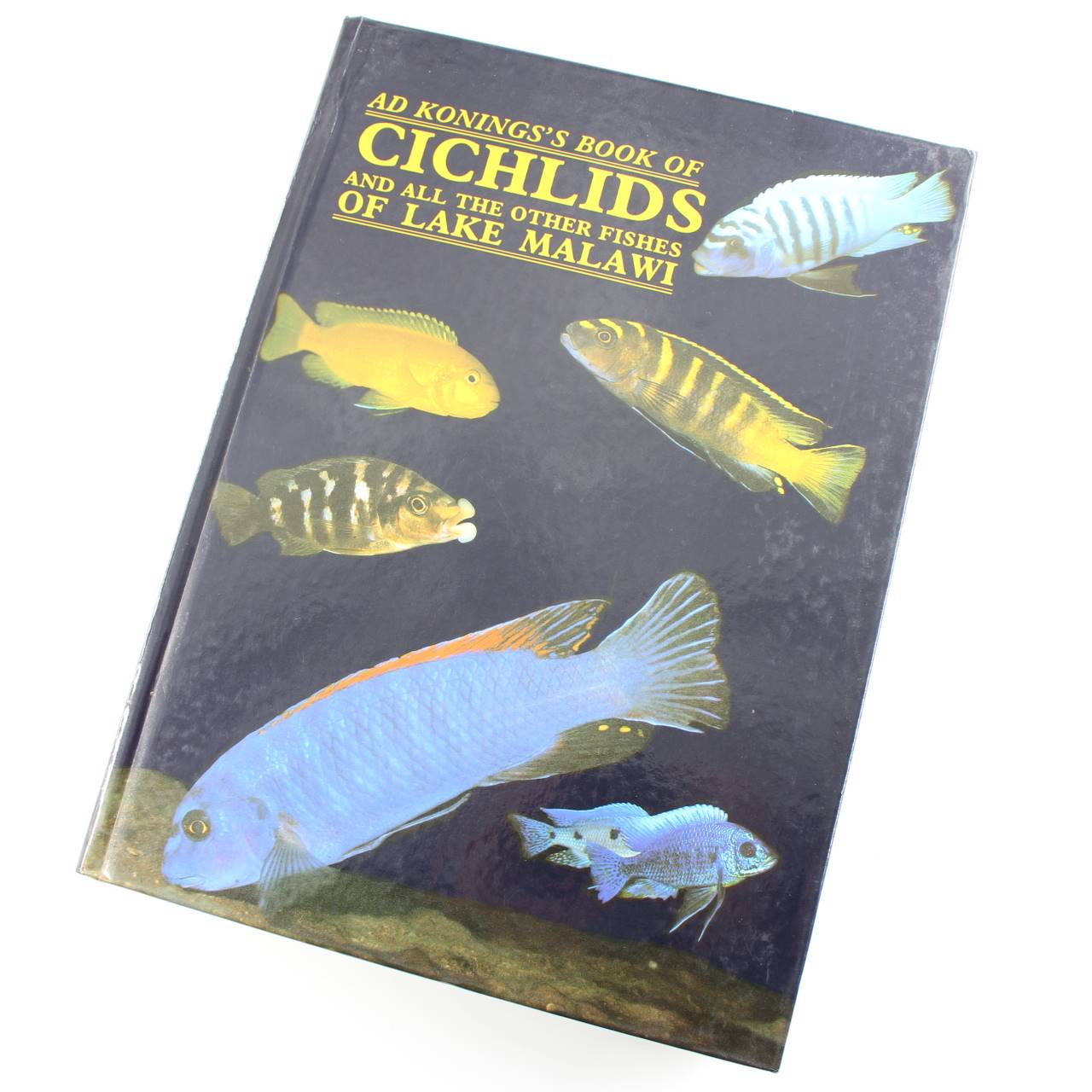 Konings Book of Cichlids and All the Other Fishes of Lake Malawi book by Ad Konings  ISBN: 9780866225274