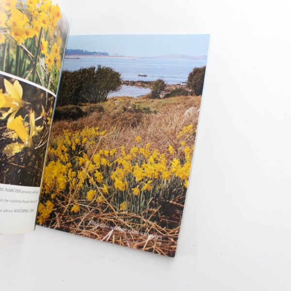 A Photographic Year in the Isles of Scilly Paperback book by Frank Gibson  ISBN: - Image 2