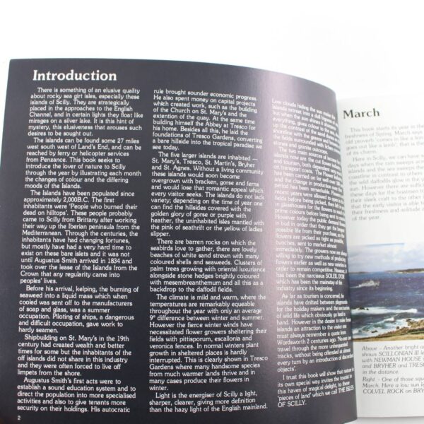 A Photographic Year in the Isles of Scilly Paperback book by Frank Gibson  ISBN: - Image 3