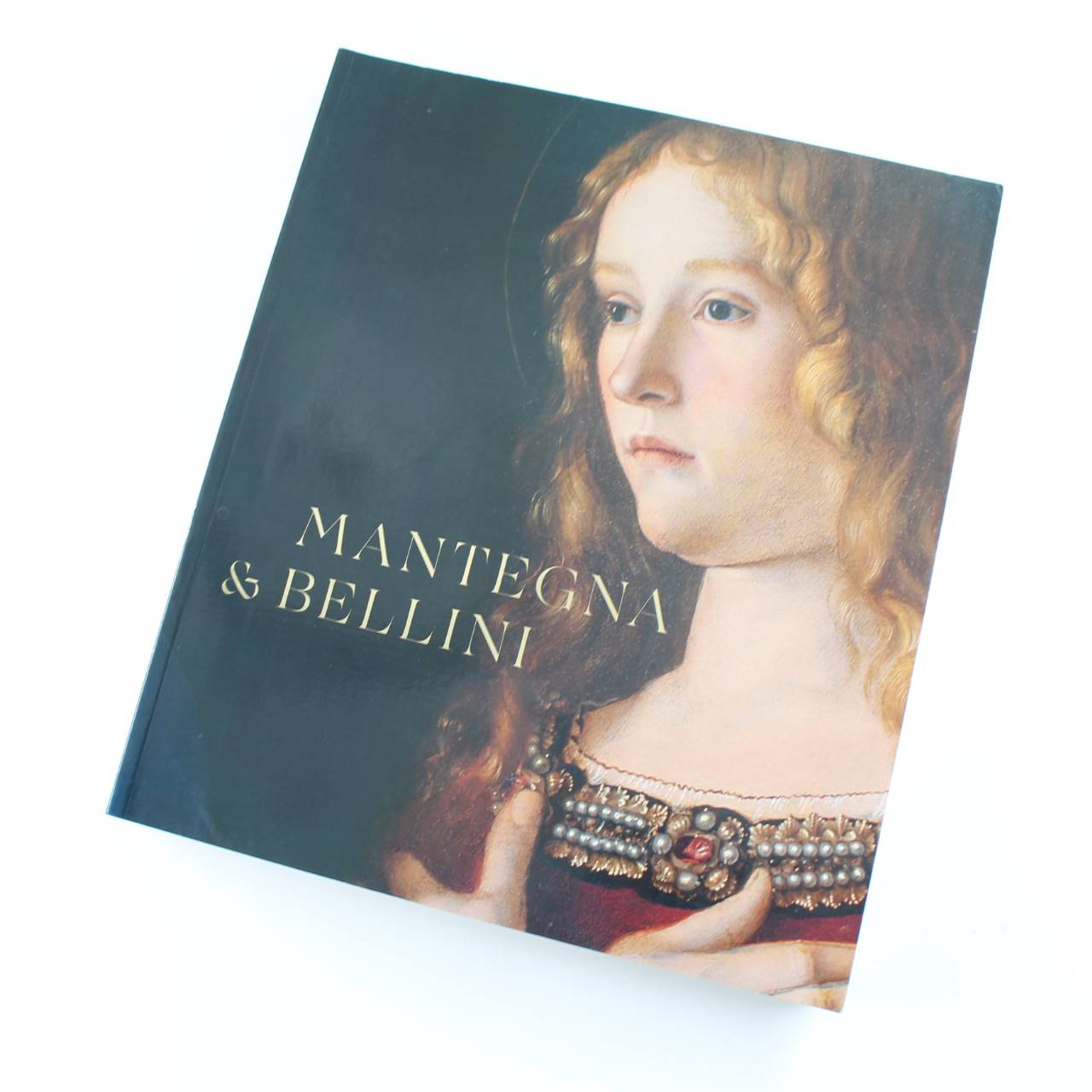 Mantegna and Bellini: A Renaissance Family book by Campbell Korbacher Rowley Vowles Dunkerton  ISBN: 9781857096354