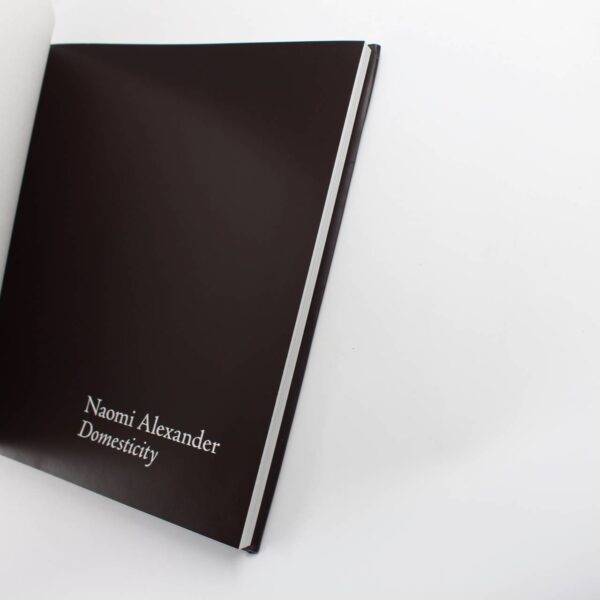 Naomi Alexander Domesticity book by Naomi Alexander  ISBN: 9780956563033 - Image 3