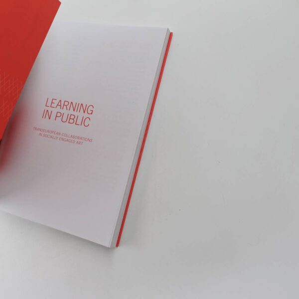 Learning in Public: transEuropean Collaborations in Socially Engaged Art book by Eleanor Turney David Caines  ISBN: 9780993561177 - Image 2