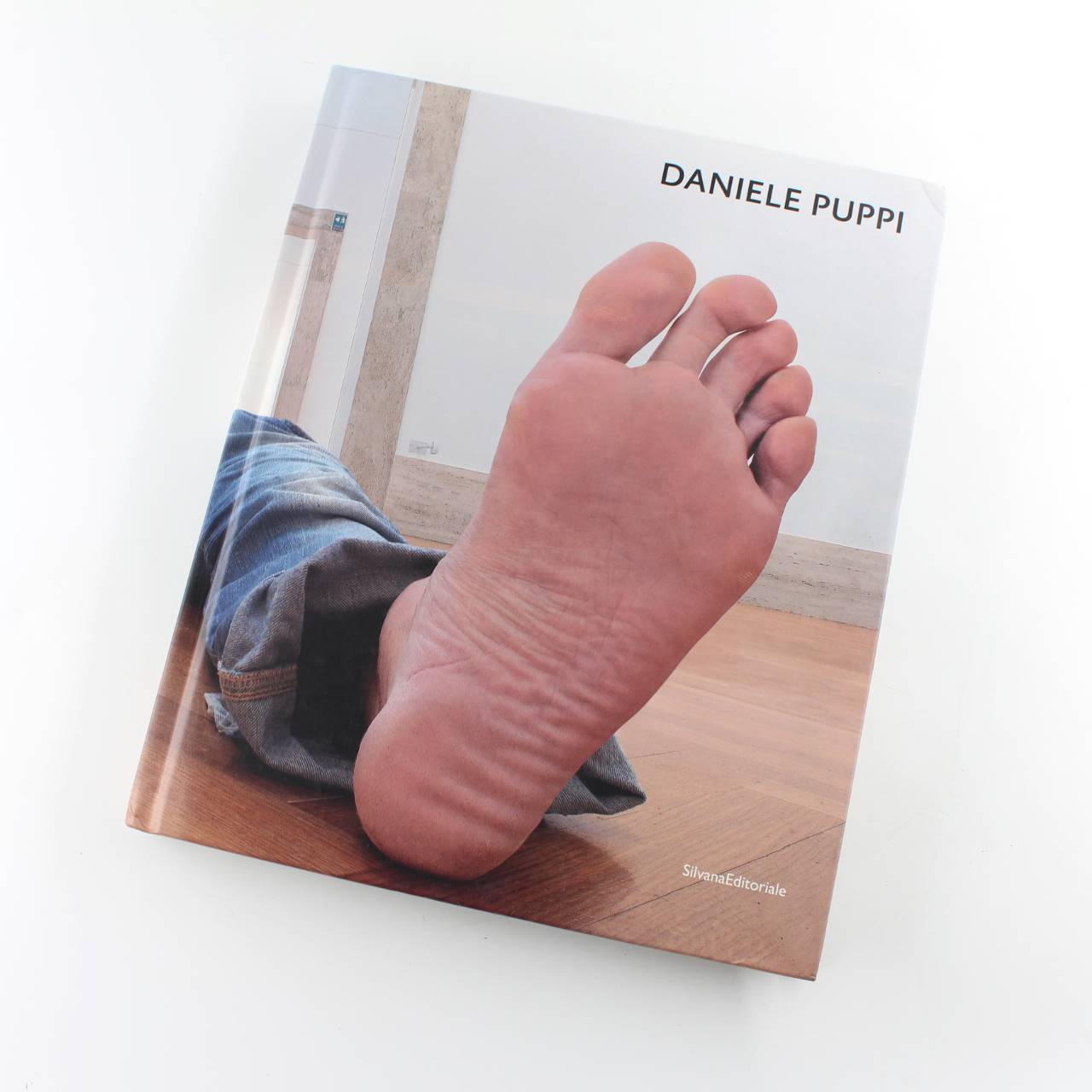 Daniele Puppi book by Santacatterina Stella  ISBN: 9788836618439