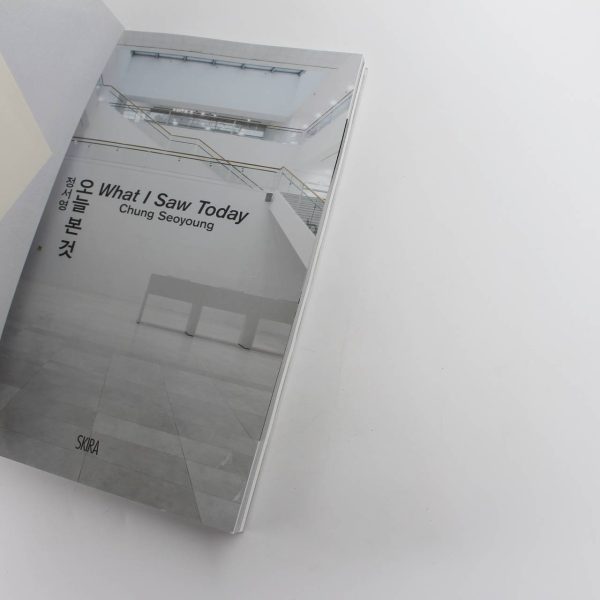 Chung Seoyoung: What I Saw Today book by Chung Seoyoung  ISBN: 9788857248561 - Image 2