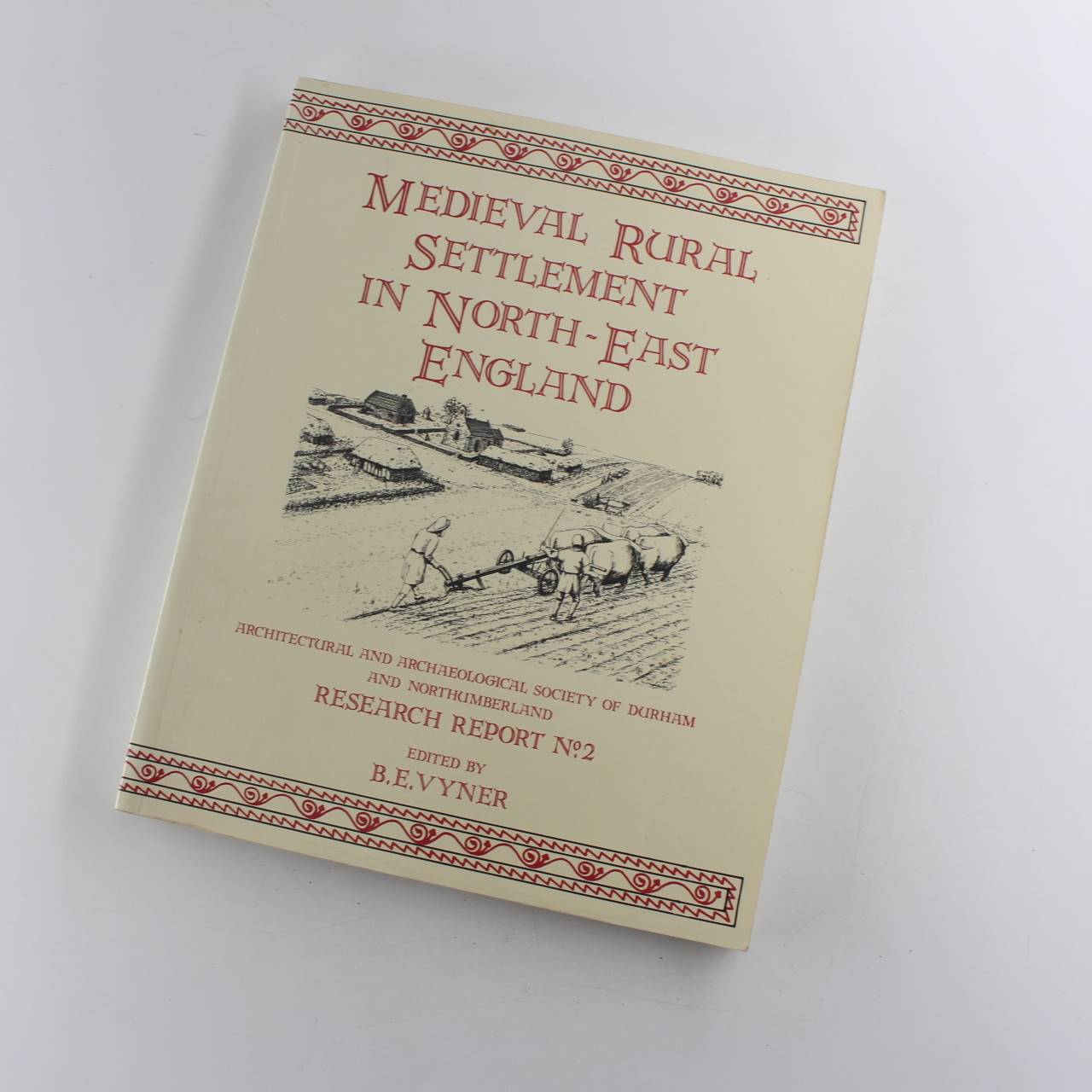 Medieval rural settlement in North-east England: Research Report Number 2 book by Vyner B E   ISBN: 9780951038819