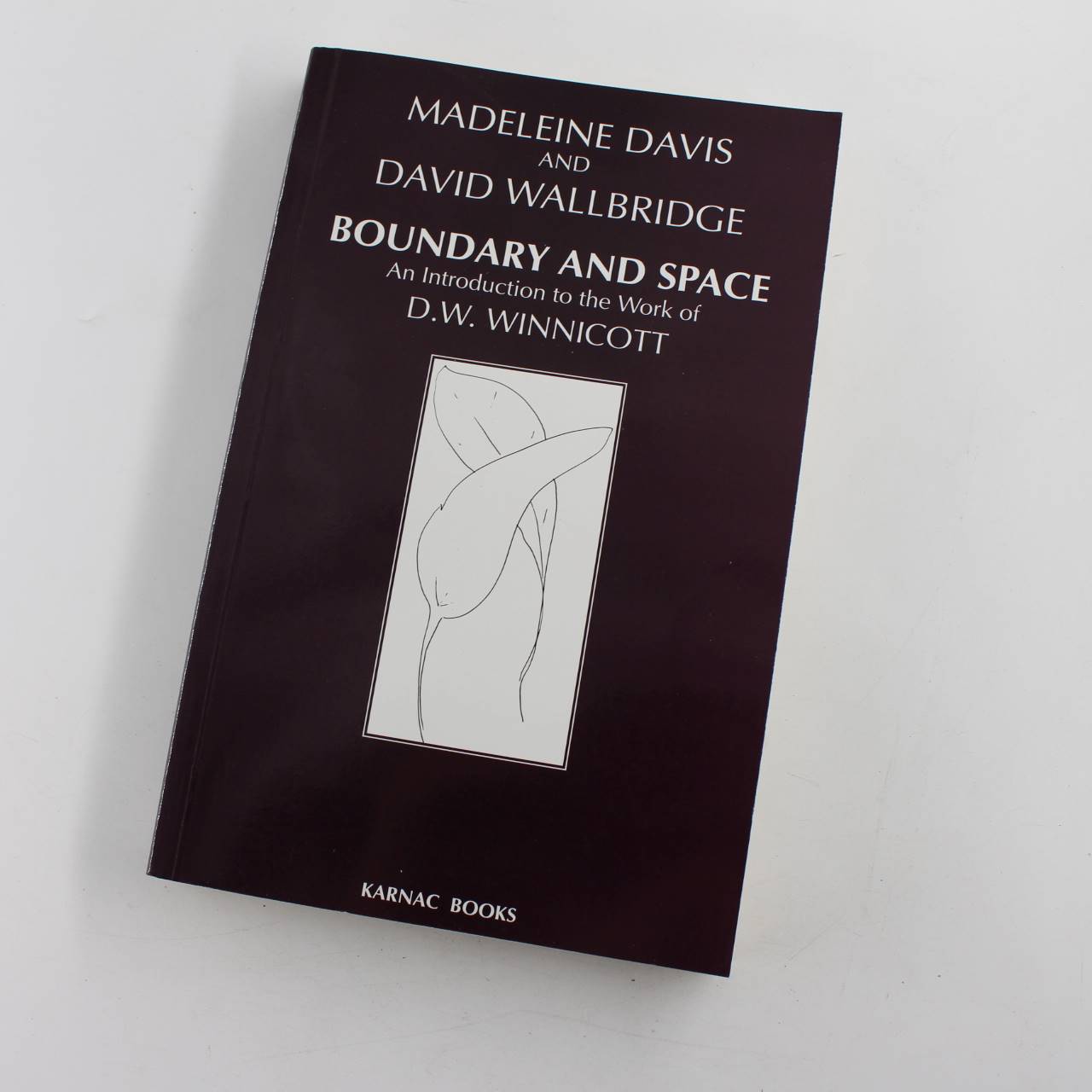 Boundary and Space: An Introduction to the Work of D.W. Winnicott book by Madeleine Davis David Wallbridge  ISBN: 9781855750012