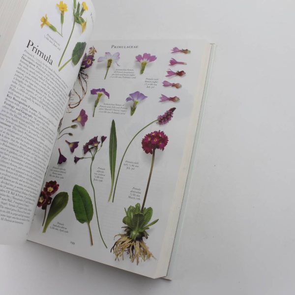 The Botanical Garden: Volume II: Perennials and Annuals book by Roger Phillips Martyn Rix  ISBN: 9781552975923 - Image 4