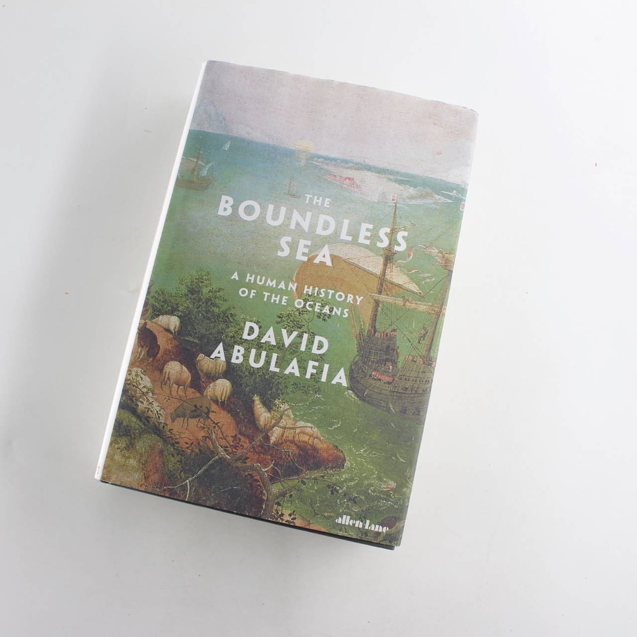 The Boundless Sea: A Human History of the Oceans book by David  Abulafia  ISBN: 9781846145087