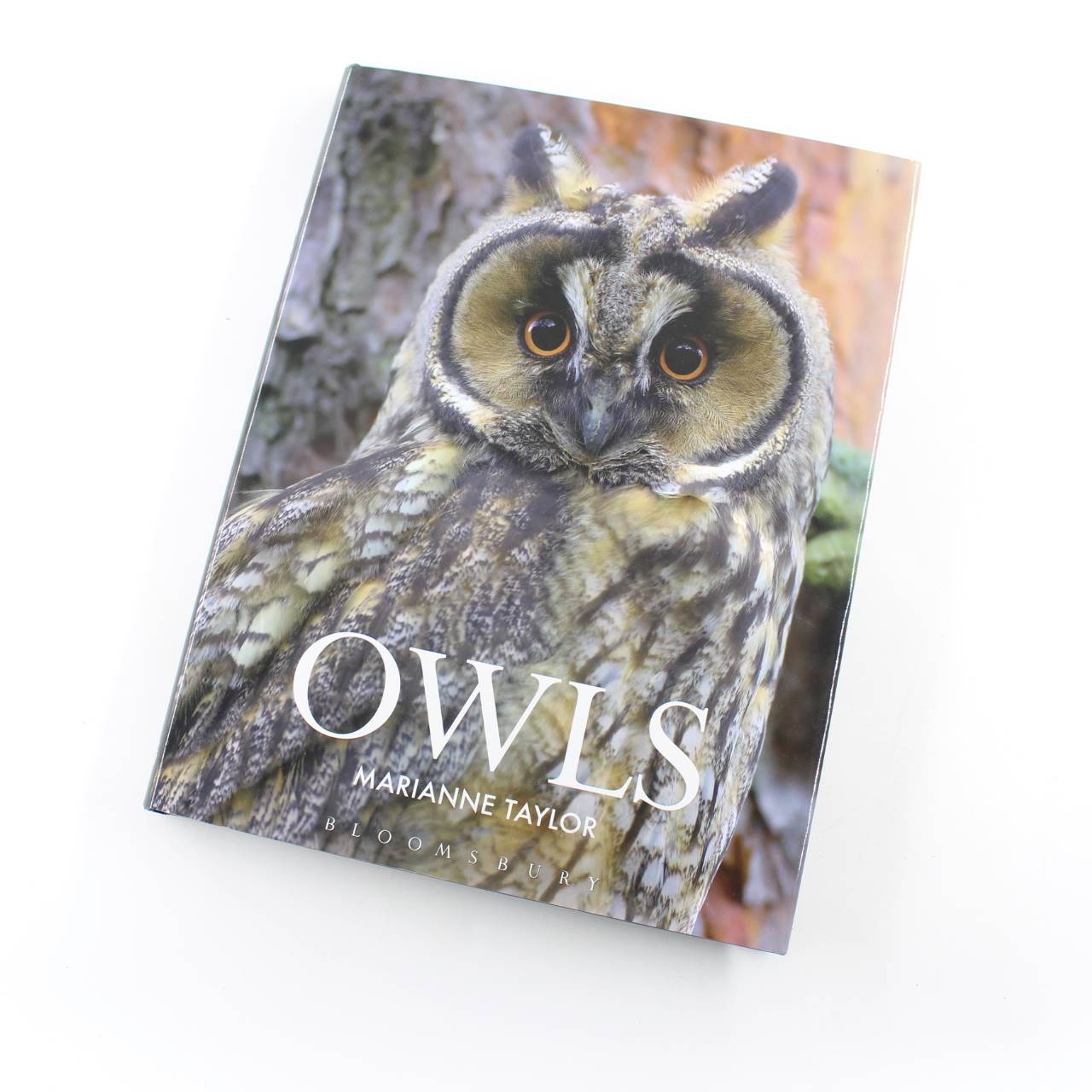 Owls book by Marianne Taylor  ISBN: 9781408155530