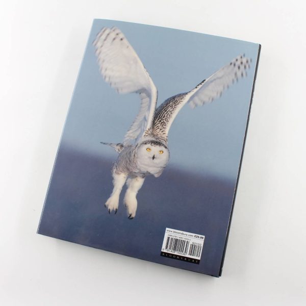 Owls book by Marianne Taylor  ISBN: 9781408155530 - Image 5