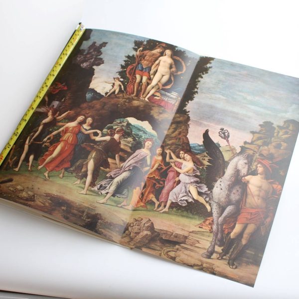 Paintings by Mantegn book by Giuseppe Fiocco  ISBN: - Image 5