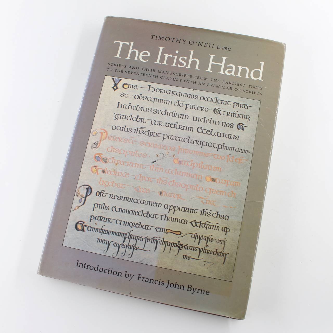 The Irish Hand: Scribes and Their Manuscripts from the Earliest Times to the Seventeenth Century With an Exemplar of Irish Scripts book by Timothy O’Neill   ISBN: 9780851054117