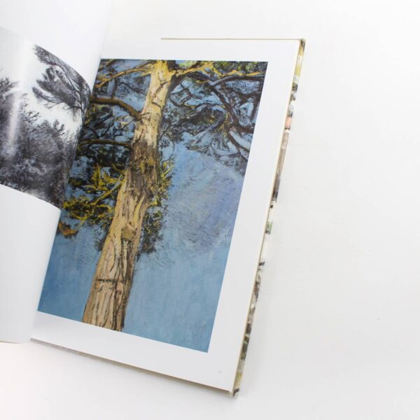 Christopher Bramham New Work book by Sebastian Smee  ISBN: - Image 4