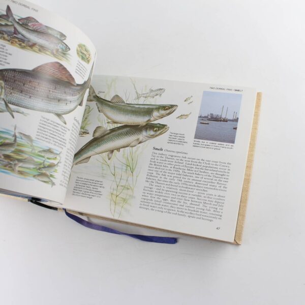 Field Guide to the Water Life of Britain  book by Reader's Digest  ISBN: - Image 3